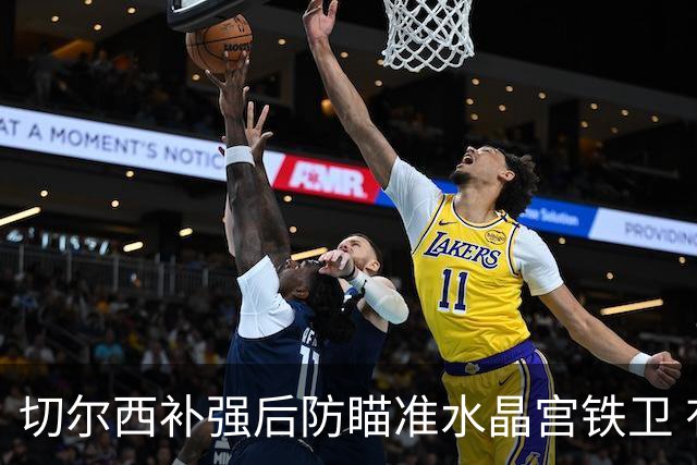 切尔西补强后防瞄准水晶宫铁卫 有合适报价可出售查洛巴