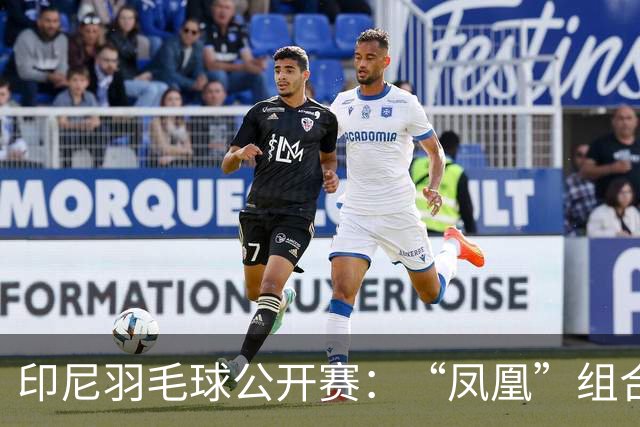 印尼羽毛球公开赛：“凤凰”组合险胜过关 李诗沣无缘八强
