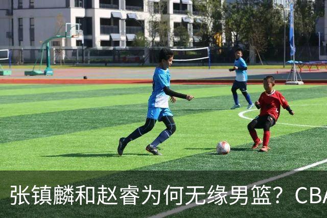 张镇麟和赵睿为何无缘男篮？CBA名记分析，道出2个原因