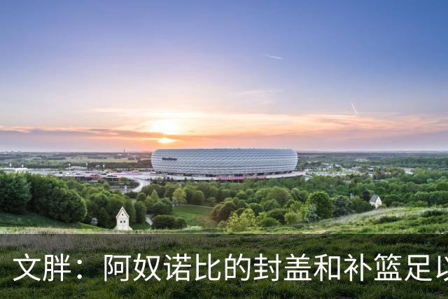 文胖：阿奴诺比的封盖和补篮足以被铸成雕像 追帽颇有老詹风采