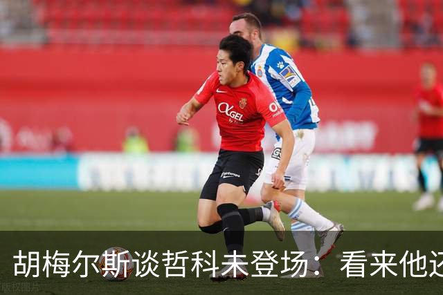 胡梅尔斯谈哲科未登场：看来他还是有伤在身，他非常适合这场比赛