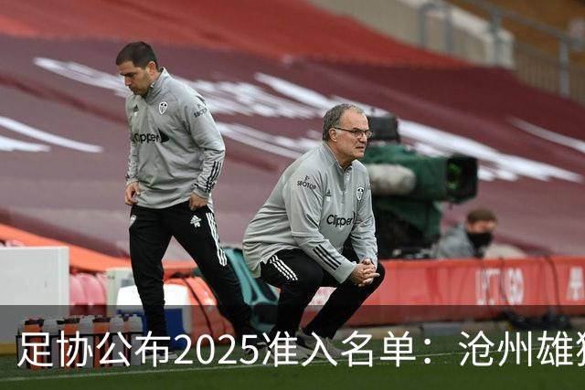 足协公布2025准入名单：沧州雄狮、广州队无缘