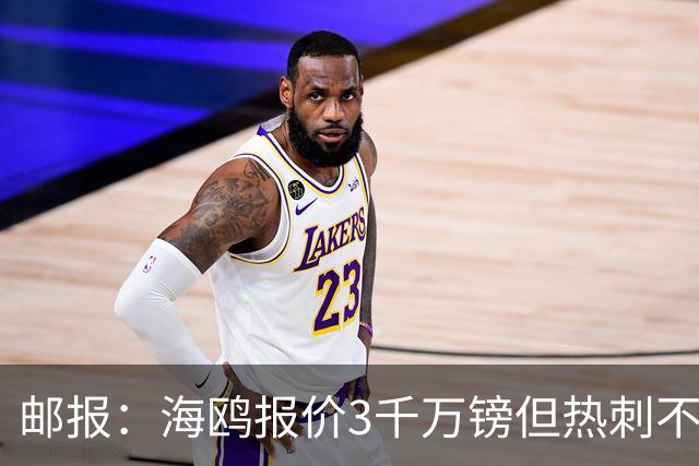 邮报：海鸥报价3千万镑但热刺不愿卖武什科维奇 巴萨国米拜仁关注